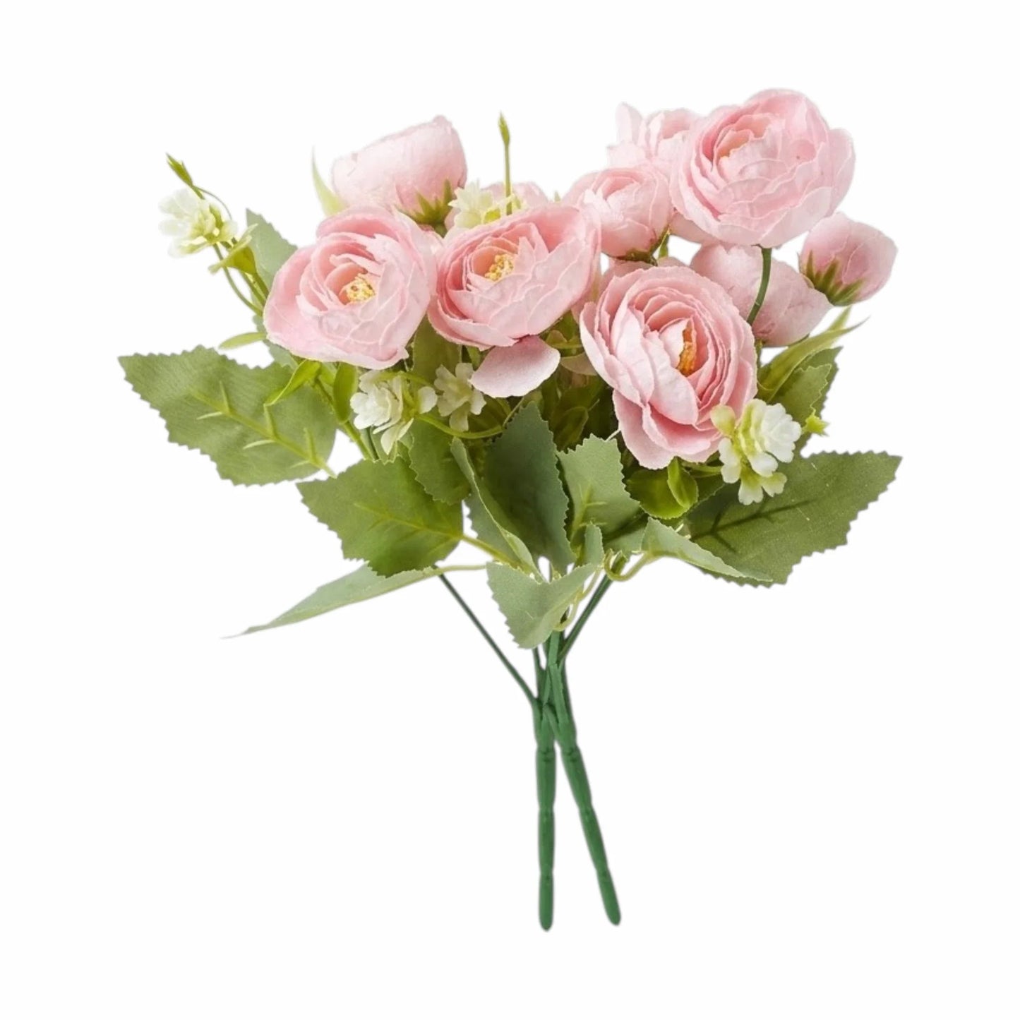 flower bunch peony with seeds pink