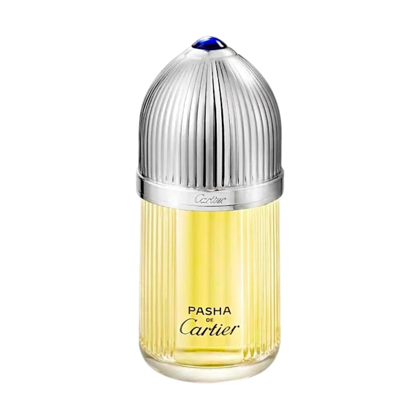 cartier perfume pasha de cartier edt 100ml for men
