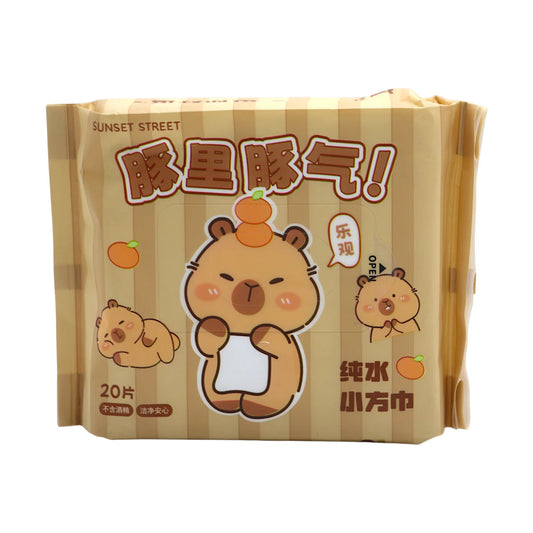 baby wipes mini 20pc csj-127 china