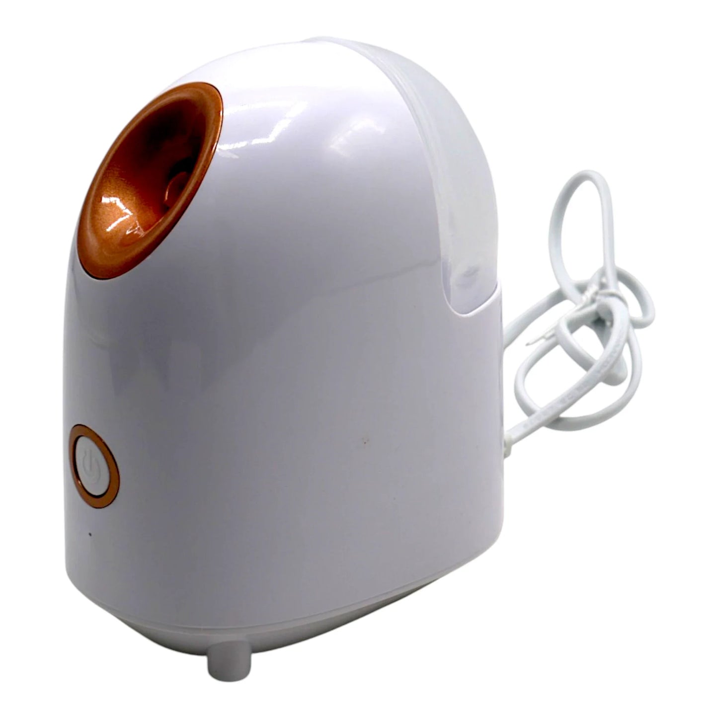 electric facial steamer china 0021