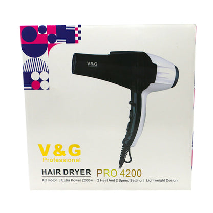 v&g hair dryer pro 4200