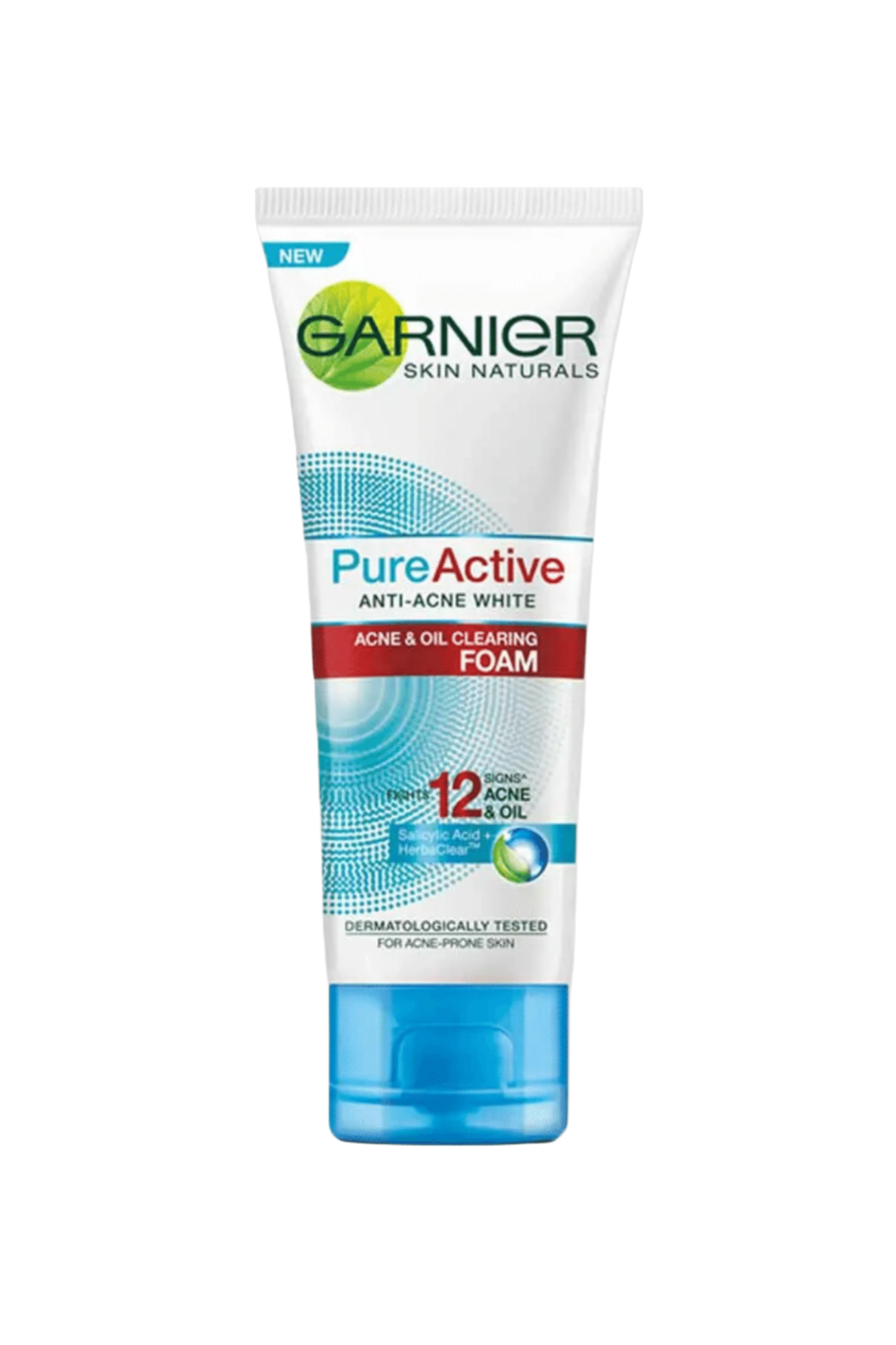 garnier face wash pure active foam 100ml indonesia